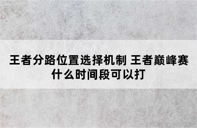 王者分路位置选择机制 王者巅峰赛什么时间段可以打